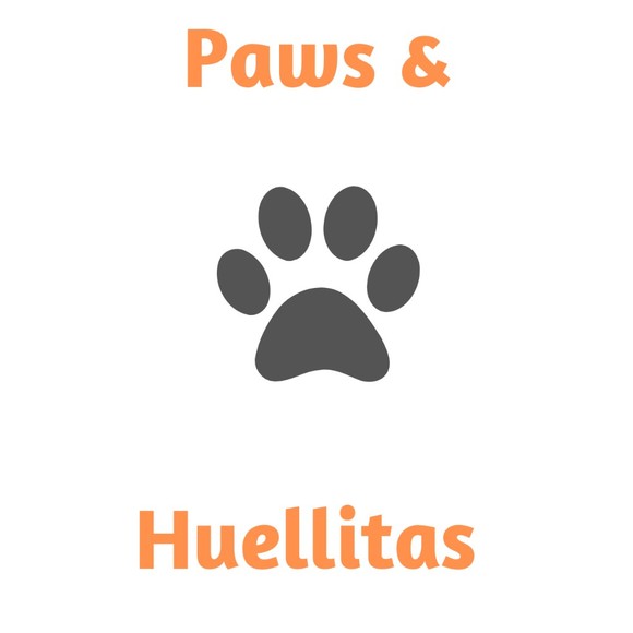 Meet your Posher, Gisela - Picture 2 of 7